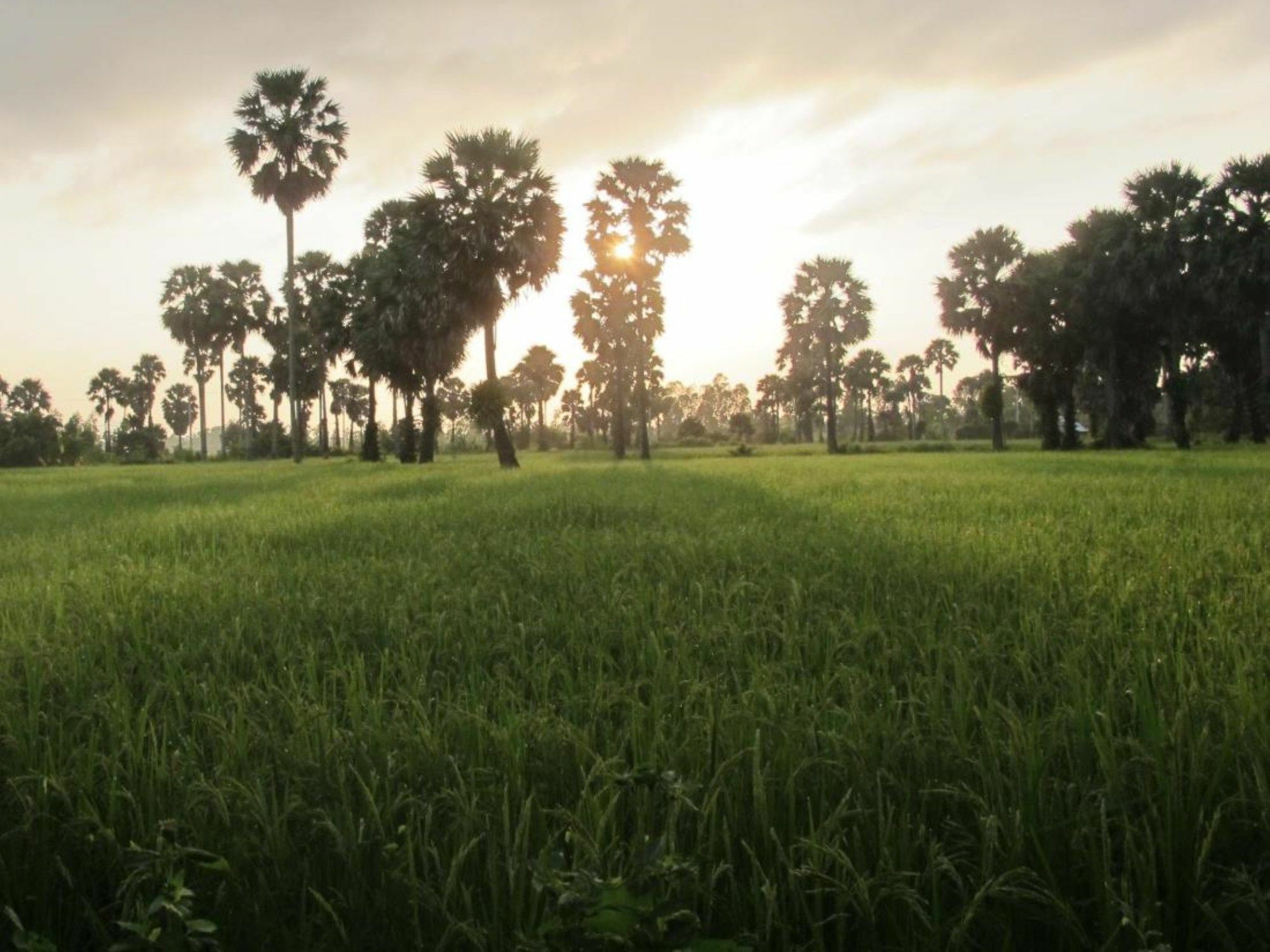 Champa Lodge Kampot Bagian luar foto